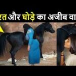 animal and horse sex story – जानवर और घोड़े की सेक्स कहानी