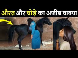 animal and horse sex story – जानवर और घोड़े की सेक्स कहानी